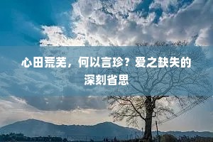 山头先雪剪茅茨，石上开云种禾黍。上一句是什么？