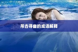 吊古寻幽的成语解释