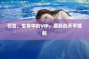 引言，生命中的VIP，原则的天平倾斜
