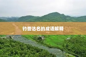 钓誉沽名的成语解释