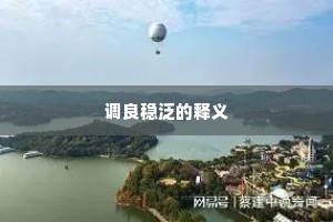 调良稳泛的释义