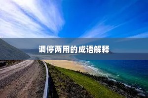 调停两用的成语解释