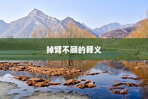 掉臂不顾的释义