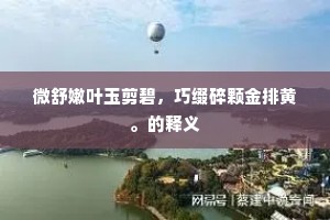 童稚恣欢呼，岸景移当前。的解释