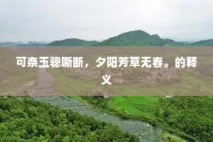 君亲已两负，性命仍苟全。的意思及出处