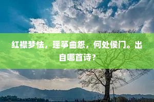 安知二十载，孤光回故躔。的意思及出处