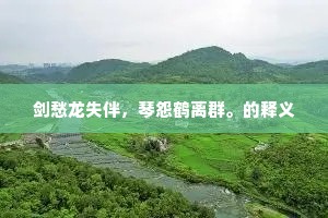 高桅插象纬，森若宝网悬。的释义