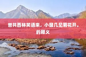 胡为厌词林，南欲观溟渤。的解释