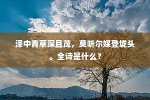 屏我粉黛，结我裙带，要使官来无妾疑。下一句是什么？