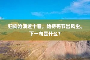 小诗极妍妙，雅奏饶古风。的释义