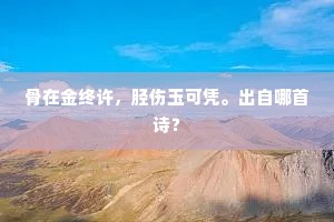 风檐读公传，白日青天回。上一句是什么？