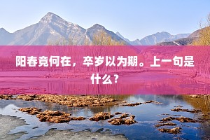 平凡之光，良心为舵，在世俗洪流中的自我坚守