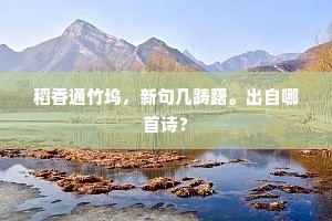 痛之根源，无能之怒，觉醒之路