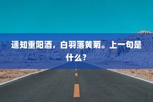 多元奉献，各展风华，为祖国服务的不凡路径