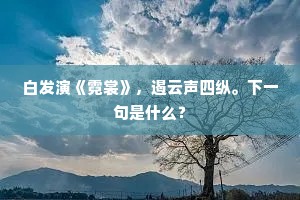 坐中绰约尽天人，锦茵云幕清无尘。的解释