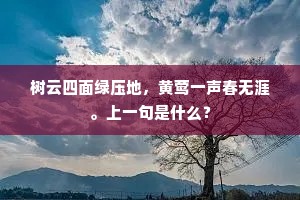 静水深流，多听少言，以责难为镜，坚守内心裁决