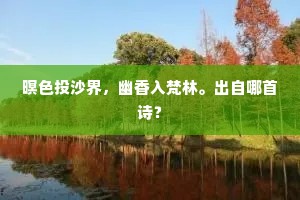 独立之魂，解锁人生最本质价值的钥匙