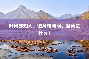 岩魂铸信念，坚定绘人生——从岩石中学坚韧