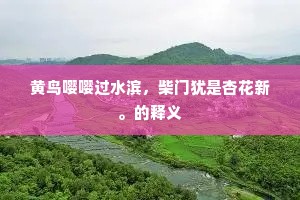 言轻行重，从漂亮话到平凡事，生活的真谛何在？