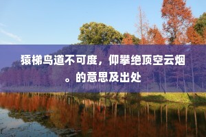 暗夜炬火，战士之魂，照亮黎明之路