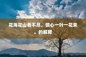 金戈铁甲的释义