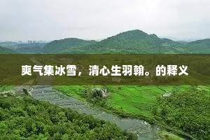 金鼓连天的解释