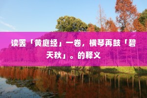 明月照梦中，荒荒万里白。的释义