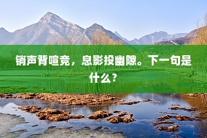 金科玉臬的解释