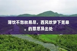 金人之箴的释义