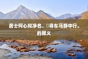 截趾适履的释义
