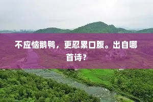 竭尽心力的释义