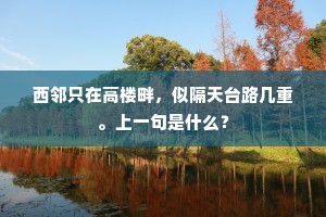 难折柳丝持赠别，漫书桐叶寄相思。下一句是什么？