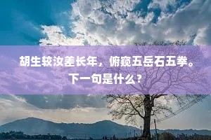 门前冠盖但如云，玉貌当年谁为主。上一句是什么？