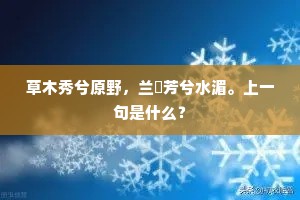 四顾寂无人，黄云暗沙漠。的释义