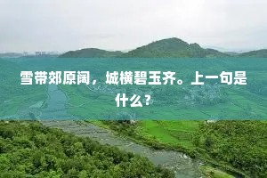 万国衣冠共玉帛，亿年陵寝镇乾坤。全诗是什么？