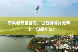 应笑漆园多事在，本来无物更谁齐？的释义