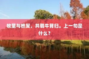 韶华荏苒，音书迢递，情绪阑珊。的意思及出处