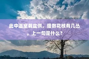 罢直晴烟散晓珂，君王侍从赐衣多。的释义