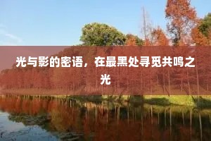 光与影的密语，在最黑处寻觅共鸣之光