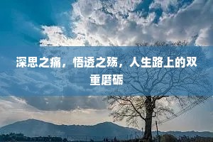 深思之痛，悟透之殇，人生路上的双重磨砺