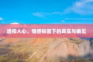 透视人心，情感标签下的真实与偏见