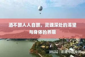 酒不醉人人自醉，灵魂深处的渴望与身体的界限