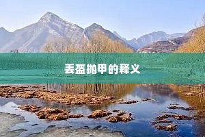 丢盔抛甲的释义