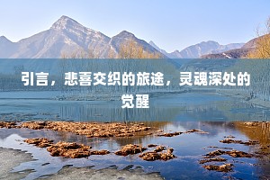 引言，悲喜交织的旅途，灵魂深处的觉醒