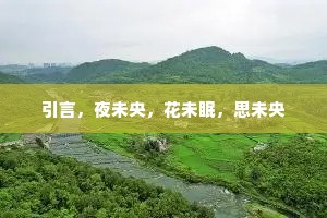 引言，夜未央，花未眠，思未央