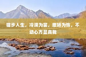 猫步人生，冷漠为裳，撒娇为饰，不动心方显真我