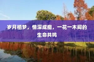 岁月植梦，情深成痴，一花一木间的生命共鸣