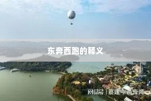 东奔西跑的释义