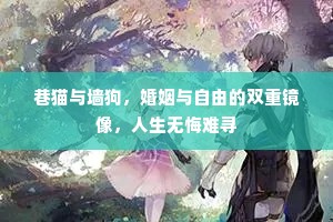 巷猫与墙狗，婚姻与自由的双重镜像，人生无悔难寻