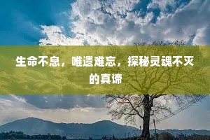 生命不息，唯遗难忘，探秘灵魂不灭的真谛